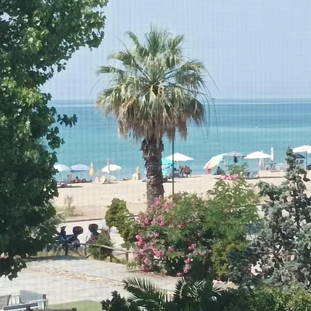Nikolaidis *