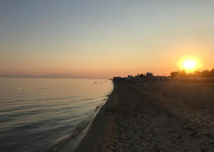 Nikolaidis * 尼亚普拉加