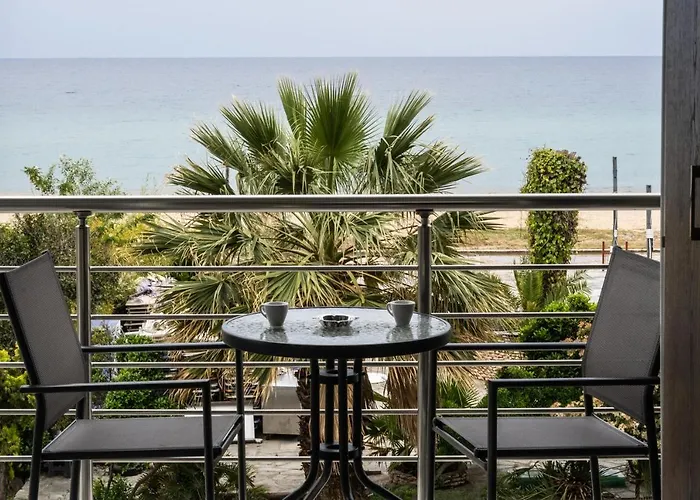 Nikolaidis * 尼亚普拉加