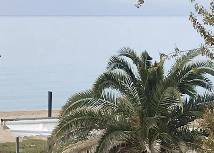 Nikolaidis Apartamento Néa Pláyia